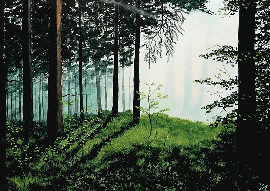 Akvarellmålning: Ljus filtreras genom skogen och bryts mellan stammar och lövverk, vilket ger landskapet djup och en levande rytm.