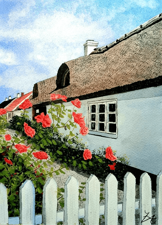 Akvarellmålning: Ett hus med halmtak ramas in av röda rosor och ett vitt staket under en klar sommarhimmel.