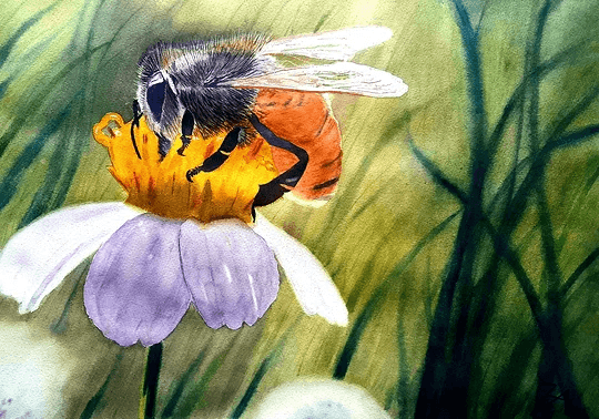 Akvarellmålning: En humla möter en blomma i varmt gyllene ljus, med fokus på den lilla rörelsen och närvaron i naturen.