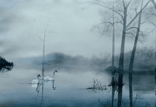 Akvarellmålning: Svanar rör sig tillsammans över vattnet i ett djurmotiv där fåglarnas former och vattenytans rörelse skapar en mjuk rytm.