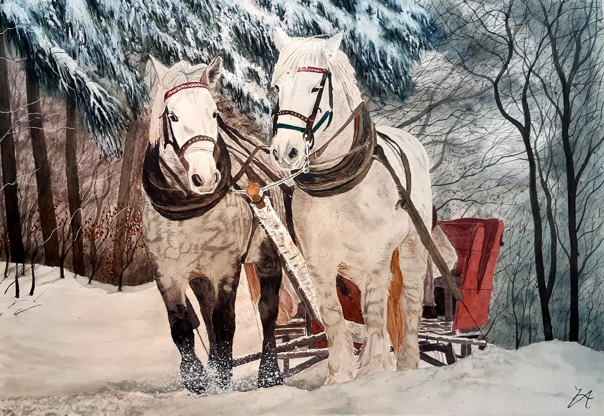 Akvarell av två vita hästar framför en röd släde i en snötäckt skog.